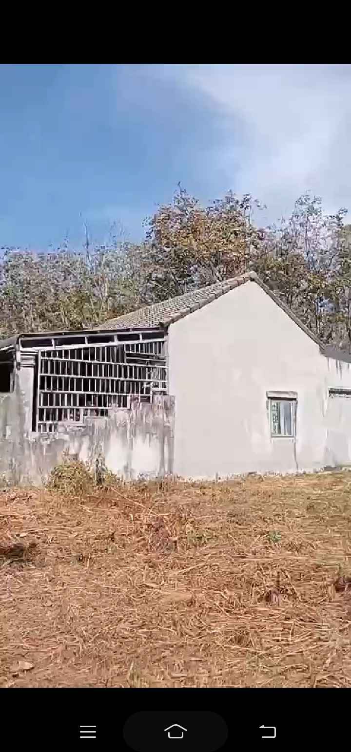 Đất nền Tân Phước, Huyện Đồng Phú, 3600m² giá 900 triệu - Cơ hội đầu tư hấp dẫn!