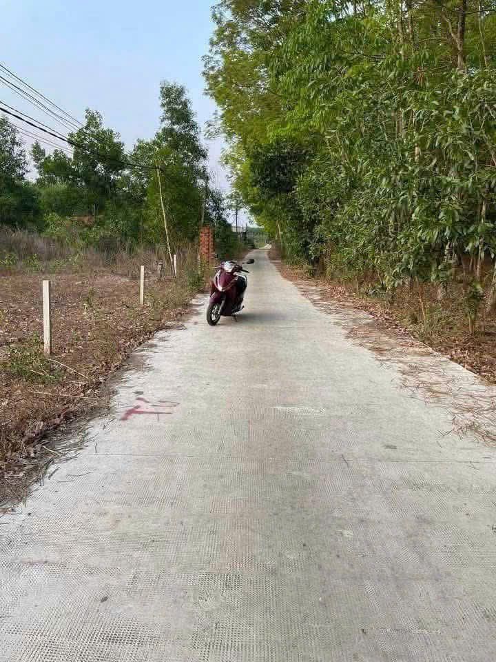 Đất nền 250m² tại kp 2 Tân Khai giá 450 triệu - Sổ đỏ chính chủ