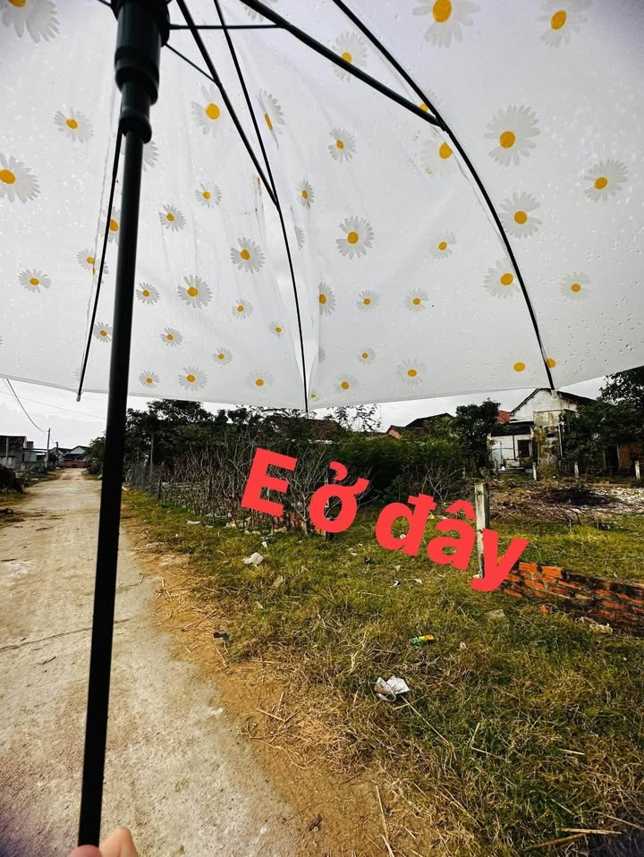 Đất thổ cư Gò Ku - Chợ Tây Phú 220m² giá 700 triệu - Hướng Tây, sổ hồng chính chủ!