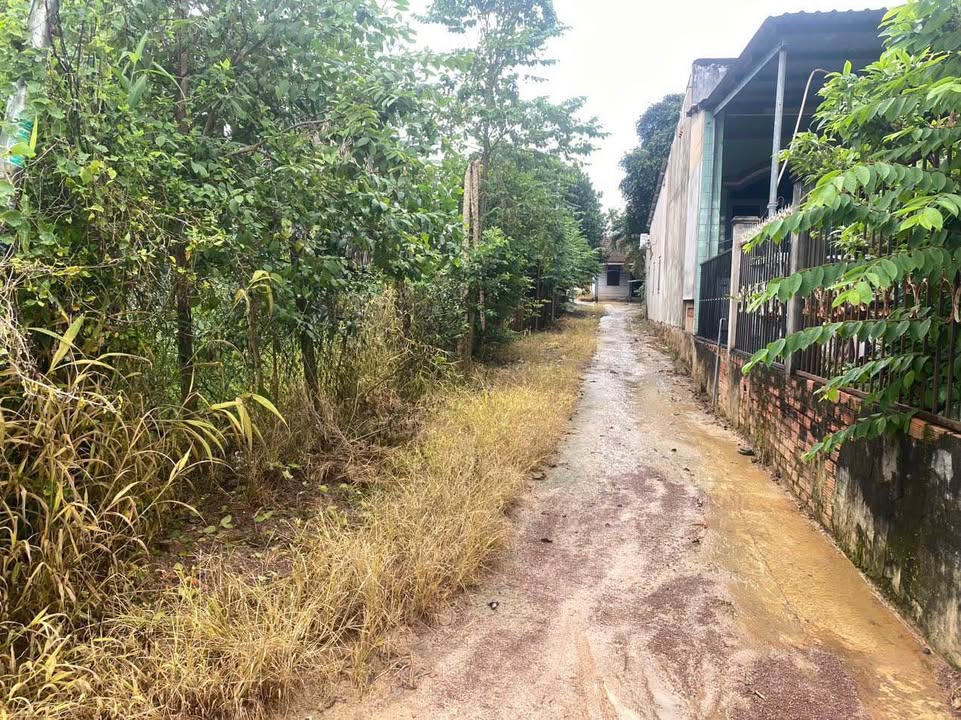 Đất nền phường Tân Xuân, TP Đồng Xoài, 120m² giá 500 triệu - Đầu tư sinh lời ngay!