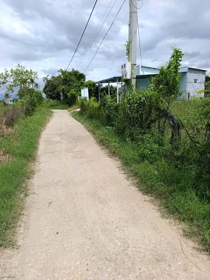 Nhà vườn thôn Từ Tâm 2, Ninh Phước 1660m² giá 1.25 tỷ - Không gian xanh lý tưởng!