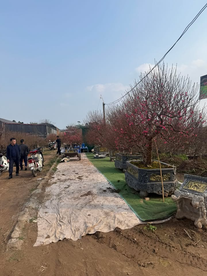 Đất nền Khu Đô Thị Nam Chính, Phú Xuyên 58m² giá chỉ 2 tỷ - Đầu tư sinh lời ngay!