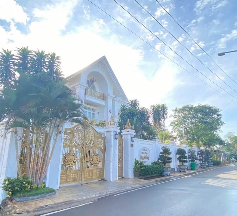 Đất nền phân lô 1160m² đường Phước Thọ - Giá chỉ 6 tỷ, thương lượng tốt!