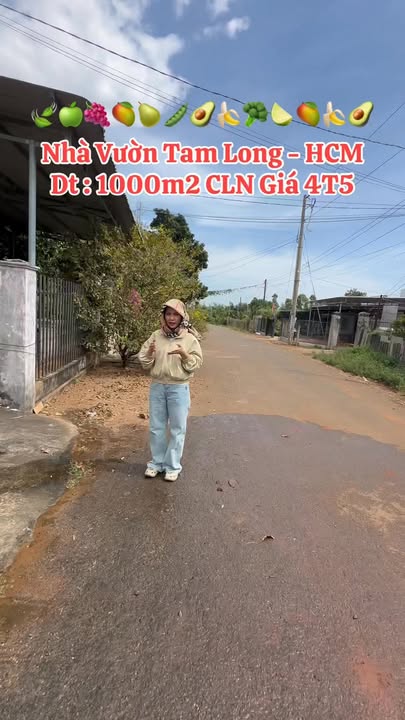 Farm đất mặt tiền đường nhựa 84, Phường Long Tâm, 1000m² giá 4.5 tỷ - Đầu tư sinh lời ngay!