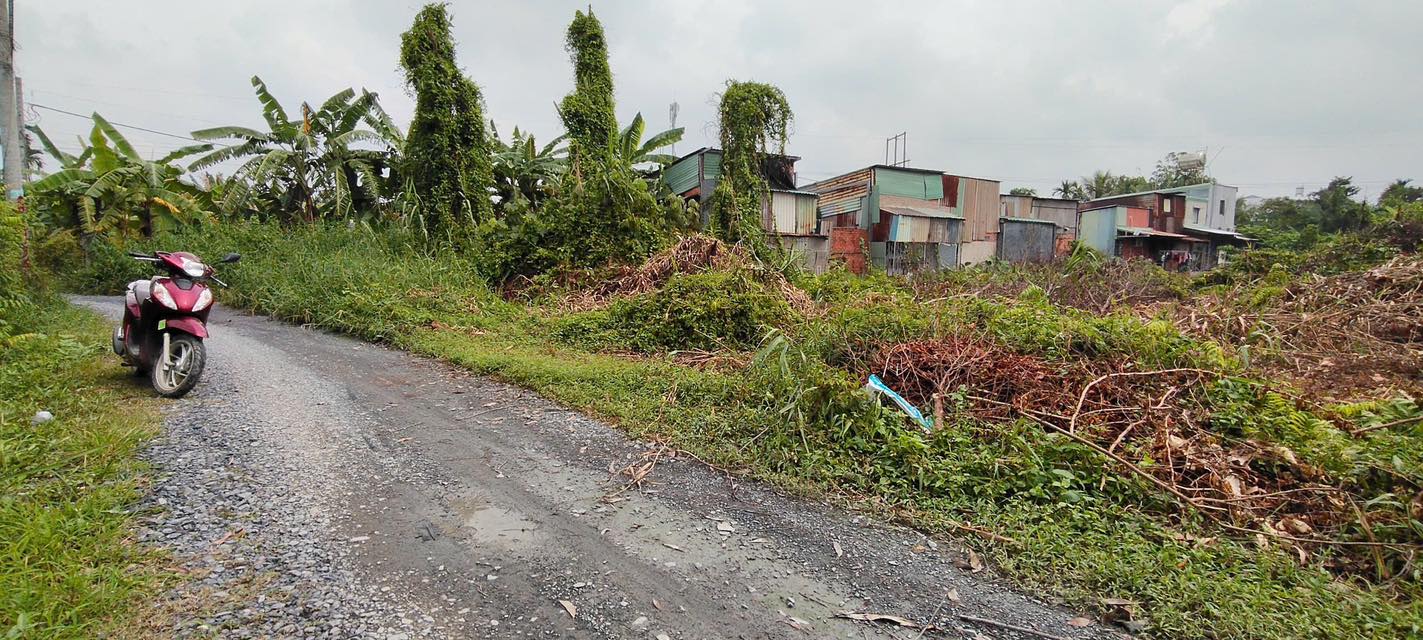 Đất nền 1000m² tại Tỉnh Lộ 8, Củ Chi - Giá 7 tỷ - Cơ hội đầu tư hấp dẫn!