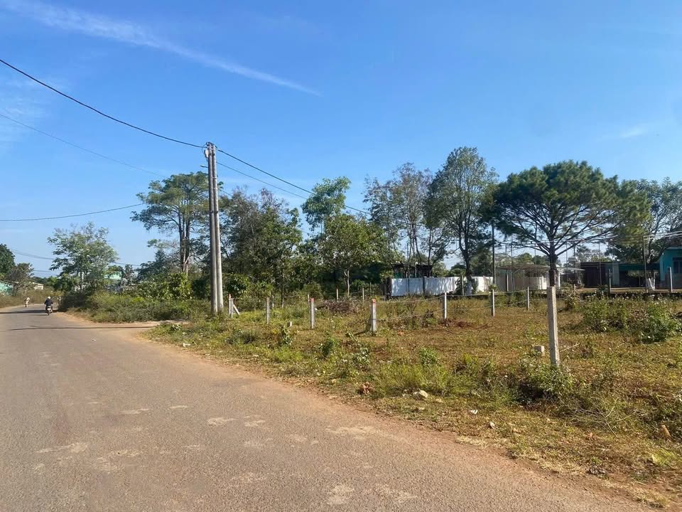 Đất nền Lý Chính Thắng - An Phú - 165m² giá 650 triệu - Lô góc 2 mặt tiền kinh doanh tốt!