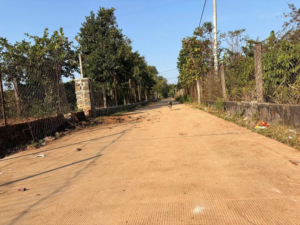 Đất nền hẻm Đào Duy Từ, xã Biển Hồ, 132m² - Sổ hồng chính chủ, giá tốt!