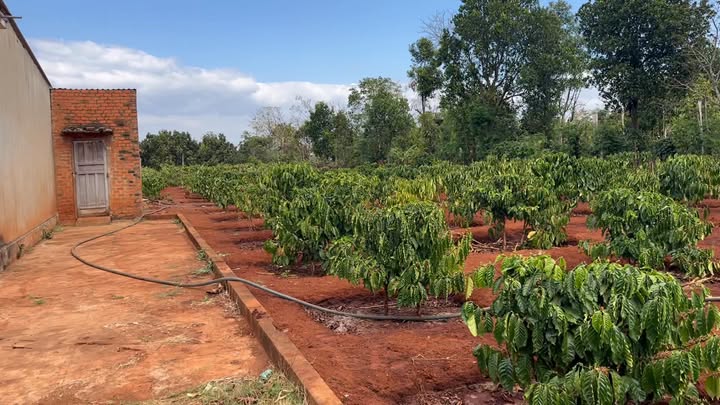 Đất nền Xã Chư Don 200m² giá 1.5 tỷ - Đầu tư sinh lời ngay!