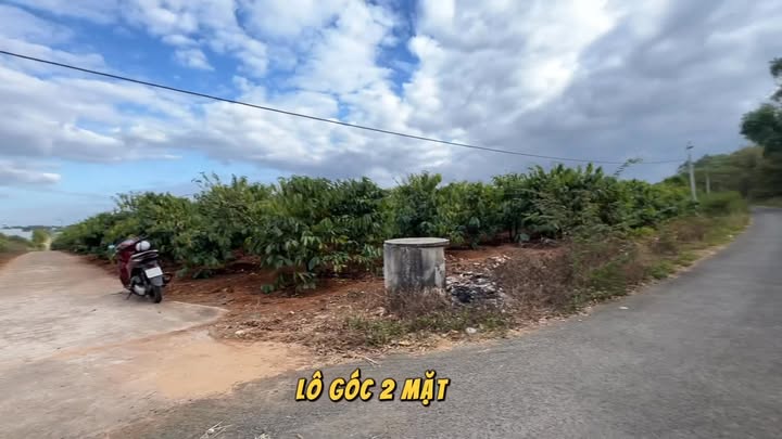 Đất nền mặt tiền Phó Đức Chính, Biển Hồ 1612m² giá 3 tỷ - Cơ hội vàng đầu tư!