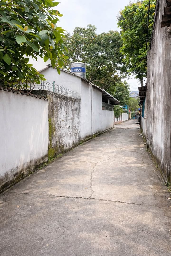 Đất thổ cư Hữu Nghị 98m² giá 1.4 tỷ - Ô tô vào tận nơi!