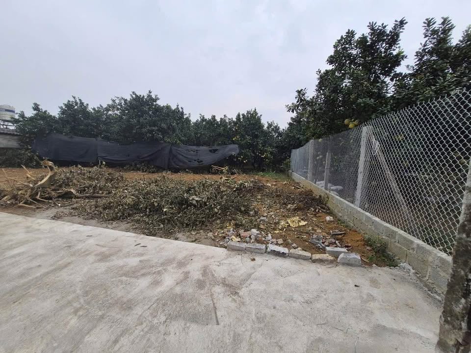 Đất phân lô Gò Sống - Tản Lĩnh 670m² giá thỏa thuận - Cơ hội đầu tư tuyệt vời!