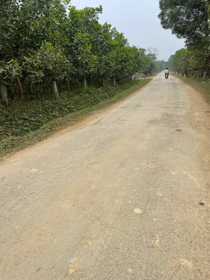 Đất nền Cát Vân, Như Xuân, 680m² giá 3 tỷ - Cơ hội đầu tư tuyệt vời!