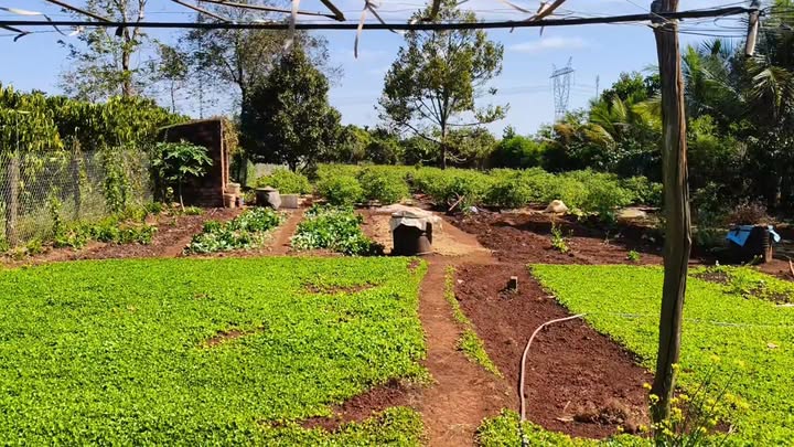 Đất nền Thị trấn Chư Sê 7200m² giá thỏa thuận - Vị trí đẹp gần bến xe mới!