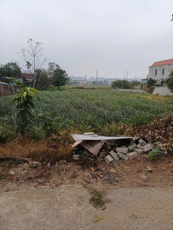 Đất thổ cư Tổ 6 Tây Sơn 96m² giá 700 triệu - Cơ hội đầu tư tuyệt vời!