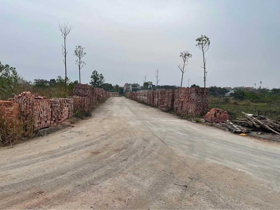 Đất phân lô chính chủ tại Thanh Vân, Tam Dương, Vĩnh Phúc 108m² giá 2.2 tỷ - Cơ hội hiếm có!