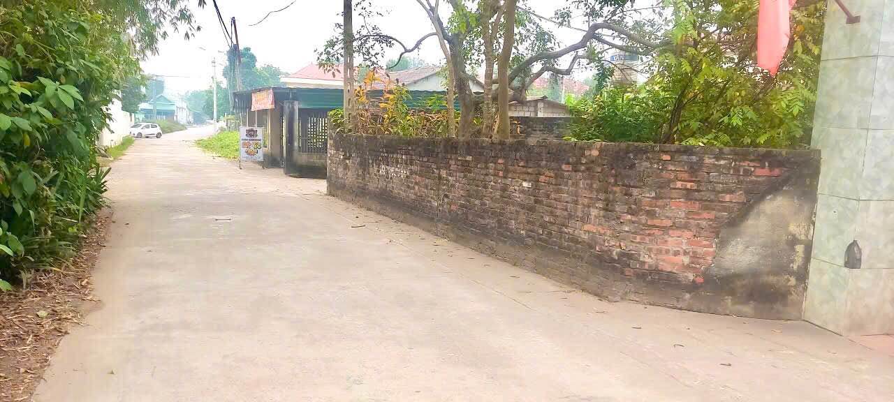 Đất nền 88m² tại Kim Long, Tam Dương giá chỉ 1.2 tỷ - Đầu tư sinh lời!