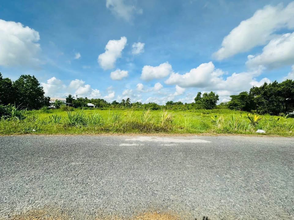 Đất nền mặt tiền đường Nhựa Tân Quới Hưng - Vĩnh Long, Giá chỉ từ 860 triệu