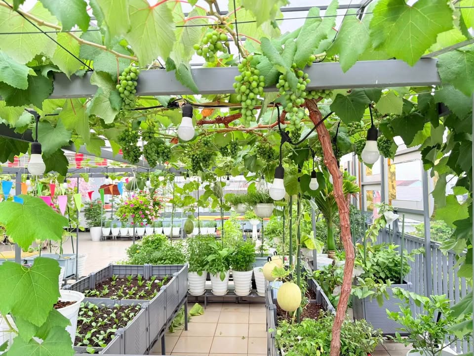 Đất nền 240m² hẻm ô tô 6m tại Quảng Phú giá 1 tỷ - Tiềm năng phát triển mạnh mẽ!