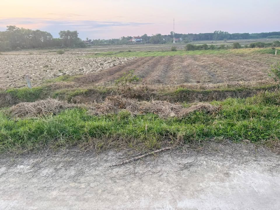 Đất nền Phú Lộc Thừa Thiên Huế 388m² giá 19.012 tỷ - Sổ hồng sẵn, dân cư đông!