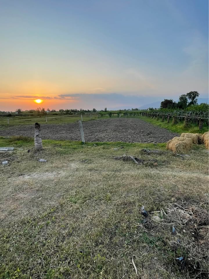 Đất nền Hàm Chính 1200m² giá 520 triệu - Sổ hồng riêng, oto vào tận nơi!