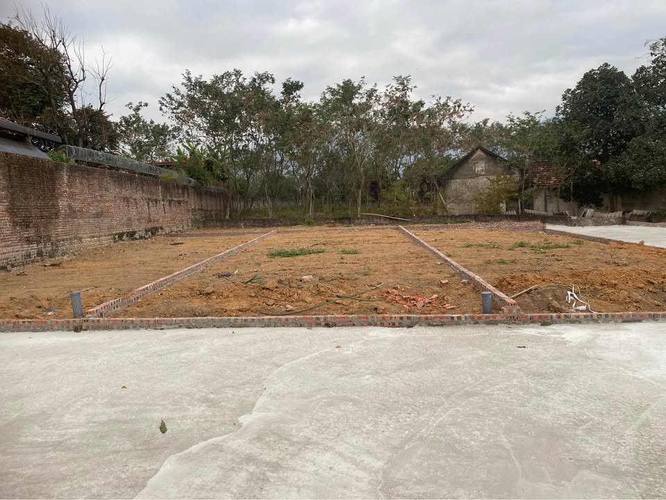 Đất nền 100m² tại Thị trấn Đại Đình, Tam Đảo chỉ 400 triệu - Cơ hội vàng cho nhà đầu tư!