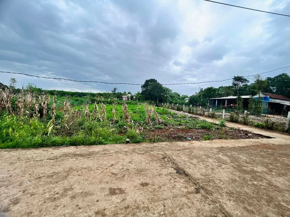 Đất nền ven biển Cửa Tùng 227,9m² giá 299 triệu - Gần địa đạo Vĩnh Mốc