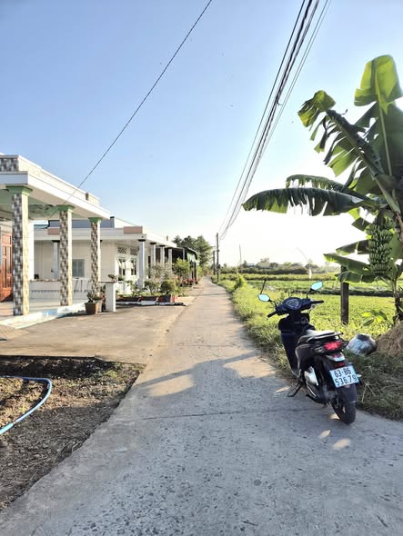 Đất thổ cư 300m² Gò Xoài, Tân Trung, Gò Công chỉ 2.3 tỷ - Sổ đỏ chính chủ!