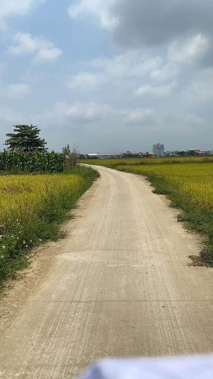 Đất nền Châu Hiệp, Nam Phước, 140m² giá 600 triệu - Sổ hồng chính chủ, thuận tiện xây dựng!