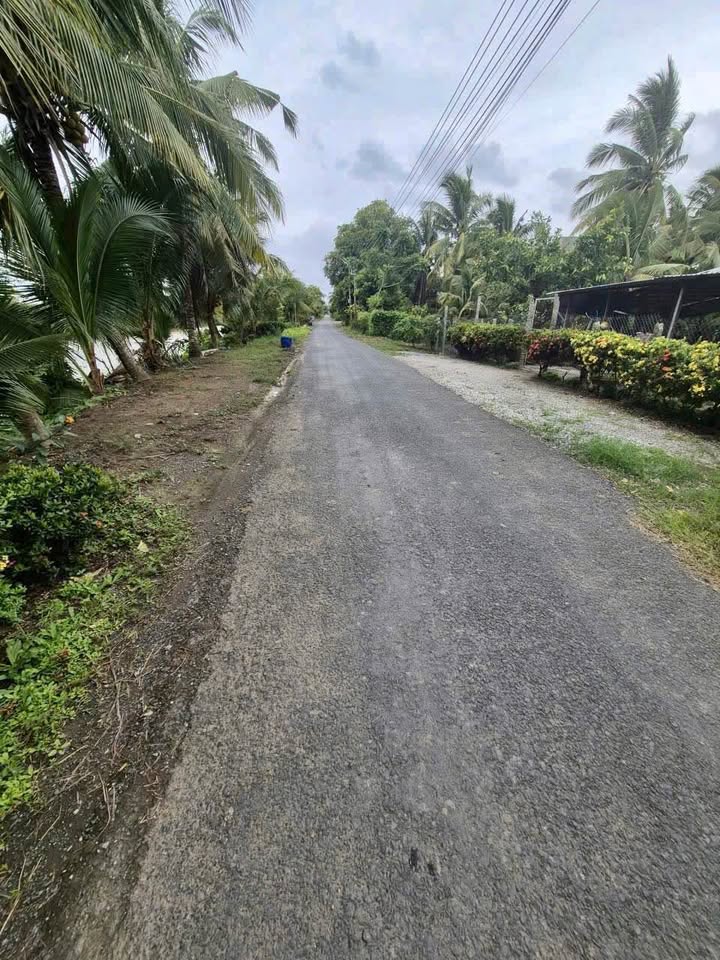 Đất nền Vĩnh Phú Thoại Sơn 100m² giá 350 triệu - Cơ hội đầu tư hấp dẫn!