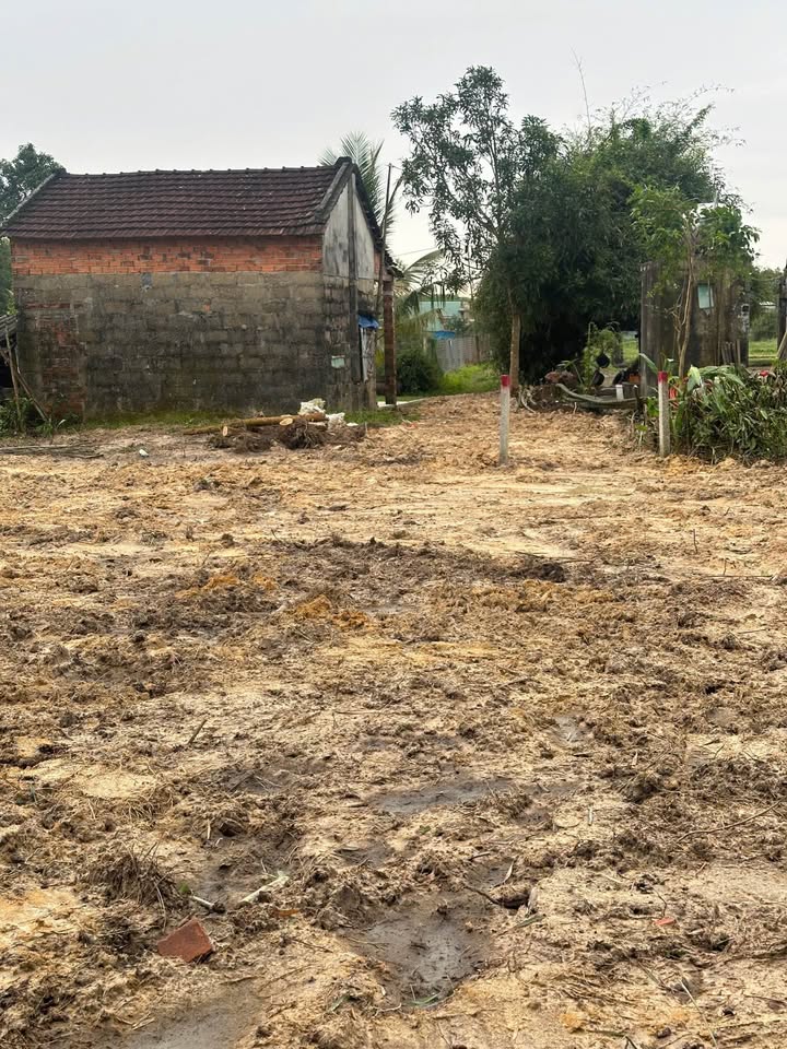 Đất nền Vườn Bình Quý Thăng Bình 1110m² giá chỉ 800 triệu - Cơ hội đầu tư tuyệt vời!