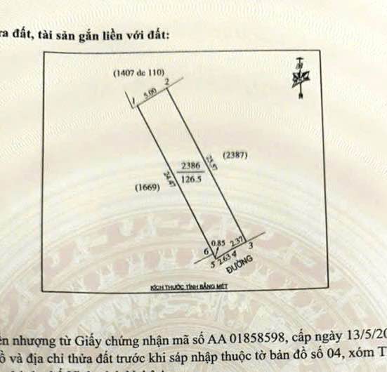 Đất nền Nghi Thái - 126,5m² giá chỉ 1,8 tỷ - Đường thông thoáng