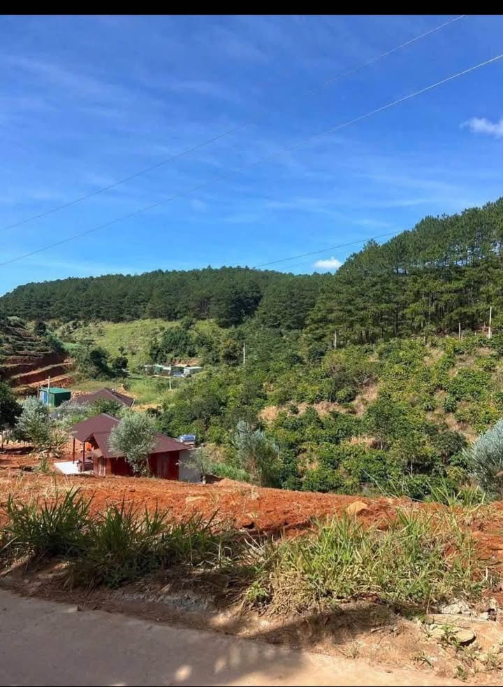 Đất nền phường 5 Đà Lạt 1.000m² - Giá đầu tư hấp dẫn!