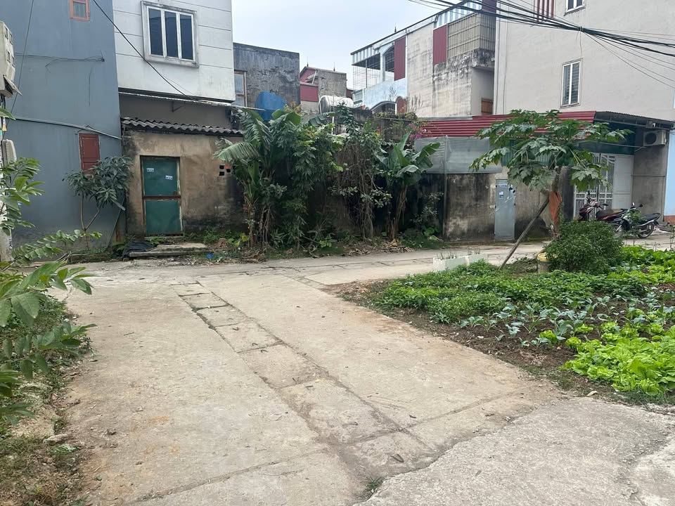 Đất thổ cư Hồng Vân Thường Tín 41m² giá 1.85 tỷ - Pháp lý rõ ràng!