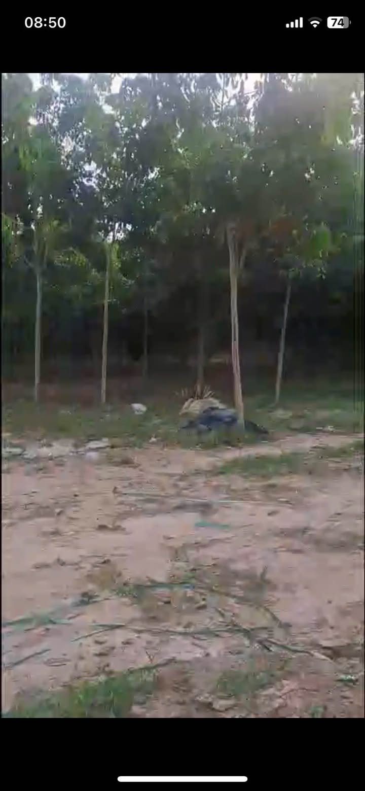 Đất nền mặt tiền nhựa TP. Tây Ninh 1500m² giá 52.5 tỷ - Cơ hội đầu tư hấp dẫn!