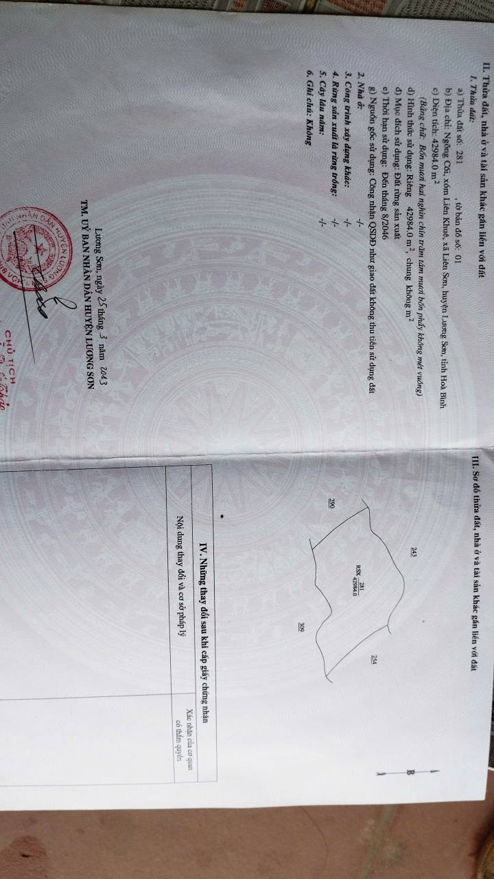 Lô đất rừng hoa hậu tại xóm Liên Khuê, 4.3ha giá tốt - Đầu tư sinh lời!