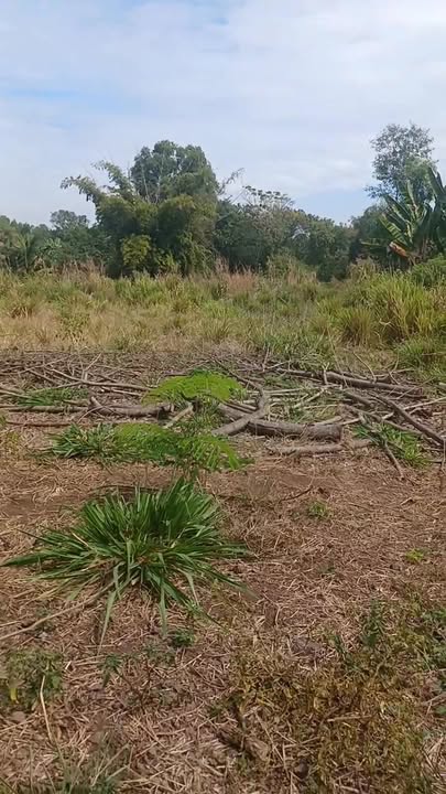 Đất nền 864m² xã Lâm San, Cẩm Mỹ giá 870 triệu - Cơ hội đầu tư hấp dẫn!