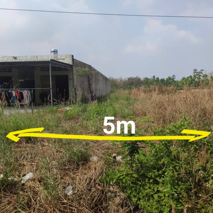 Đất mặt tiền đường DH619, Bến Cát 300m² giá 1 tỷ - Cơ hội đầu tư hấp dẫn!