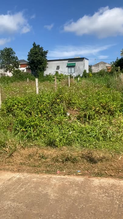 Đất nền chính chủ mặt tiền Văn Tiến Dũng, 135m² giá 1.45 tỷ - Cơ hội đầu tư tuyệt vời!