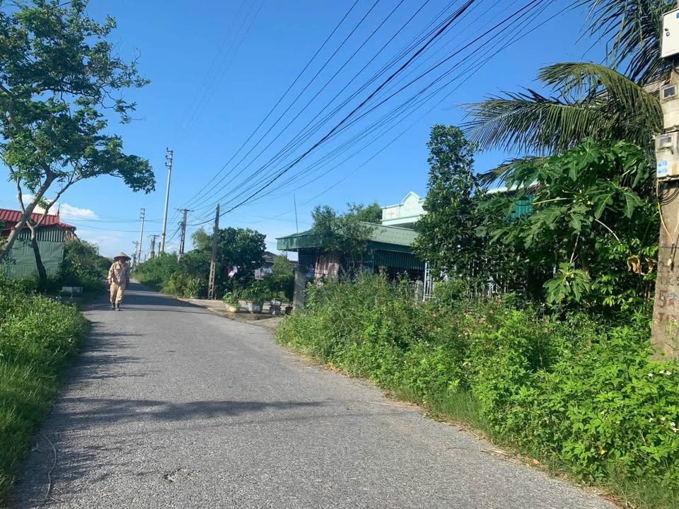 Đất nền Đông Minh 121m² giá chỉ 1.2 tỷ - Tiềm năng tăng giá mạnh!