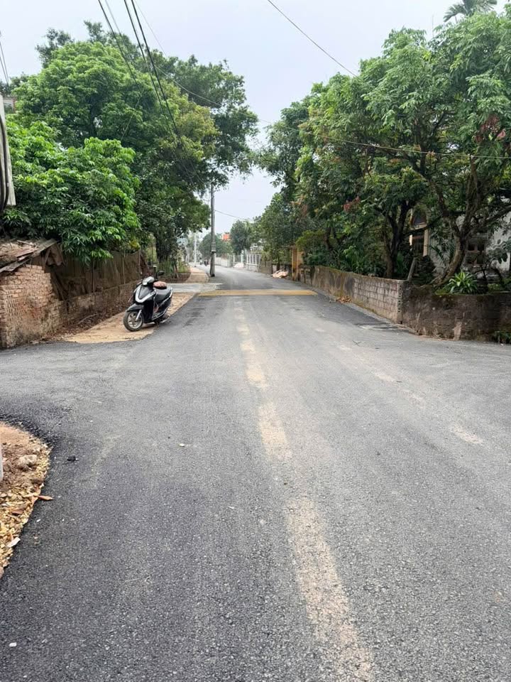 Đất nền TDP Trung Thượng, Phường Châu Giang 191m² - Khu dân cư yên tĩnh, an ninh tốt!