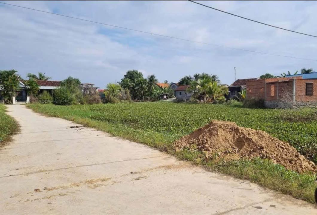 Đất nền Phước Lý, Ninh Bình 118.6m² giá 500 triệu - Sổ hồng chính chủ!