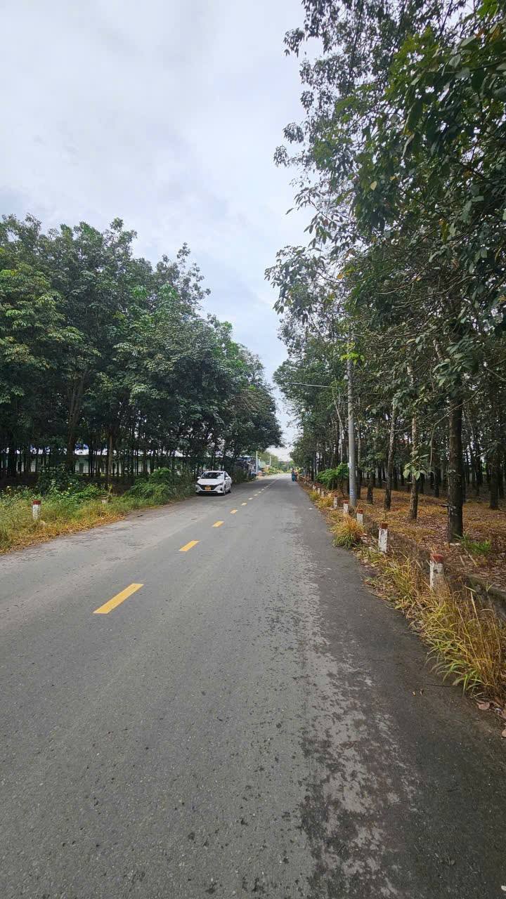 Bán FrontHouse Mặt Tiền Đường Tân Hiệp 10, Dĩ An 492m² giá 4.7 tỷ - Cơ hội đầu tư lý tưởng!