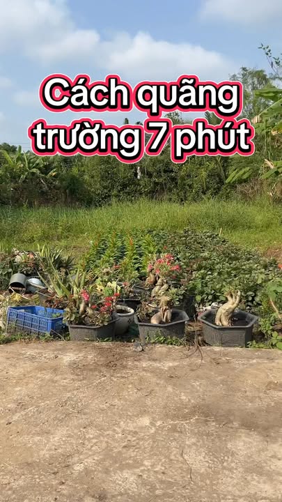 Đất nền chính chủ tại Mỹ Phong, 92m² chỉ 650 triệu - Đầu tư sinh lời!