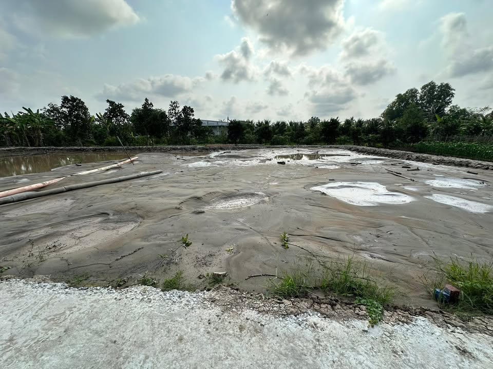 Đất nền Tân Phú Trung, Đồng Tháp 150m² giá chỉ 300 triệu - Vị trí đắc địa, view sông thoáng đãng!