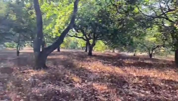 Đất Farm 5.1ha mặt tiền QL.14, Dĩ An, Bình Dương - Chỉ 5.1 tỷ!