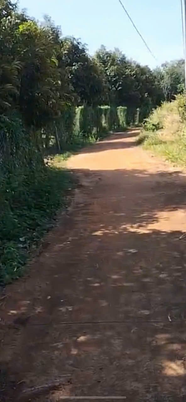 Đất thổ cư Xã Lộc Phú, Huyện Lộc Ninh 250m² giá chỉ 130 triệu - Cơ hội đầu tư hấp dẫn!