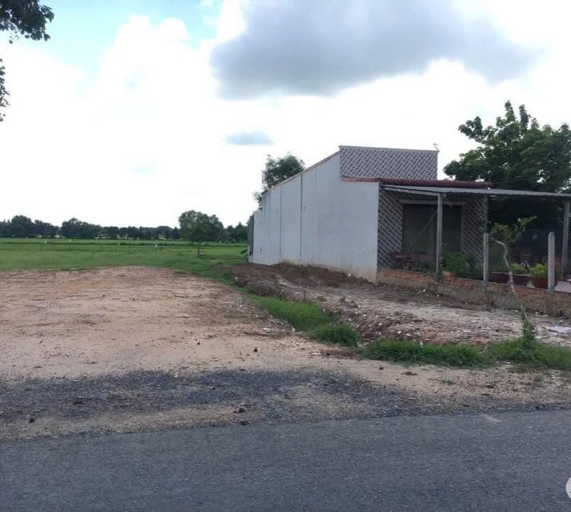 Đất nền 1055m² tại Củ Chi - Giá bán gấp chỉ 3.55 tỷ!