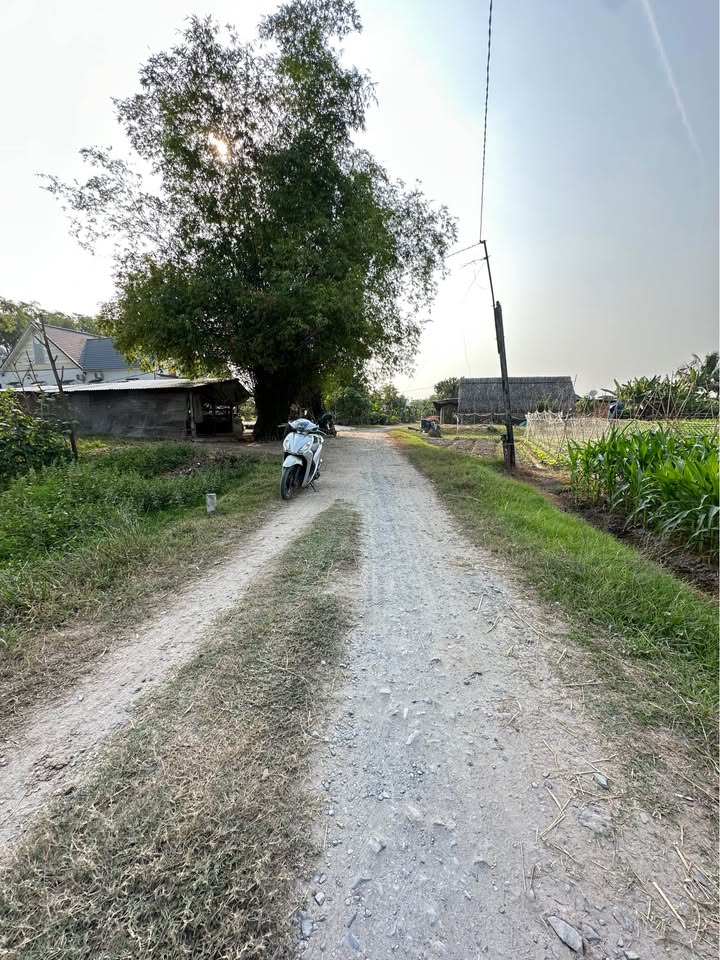 Đất nền chính chủ Xã Mỹ Hạnh Bắc 140m² giá 1.06 tỷ - Bán gấp, sổ hồng đầy đủ!