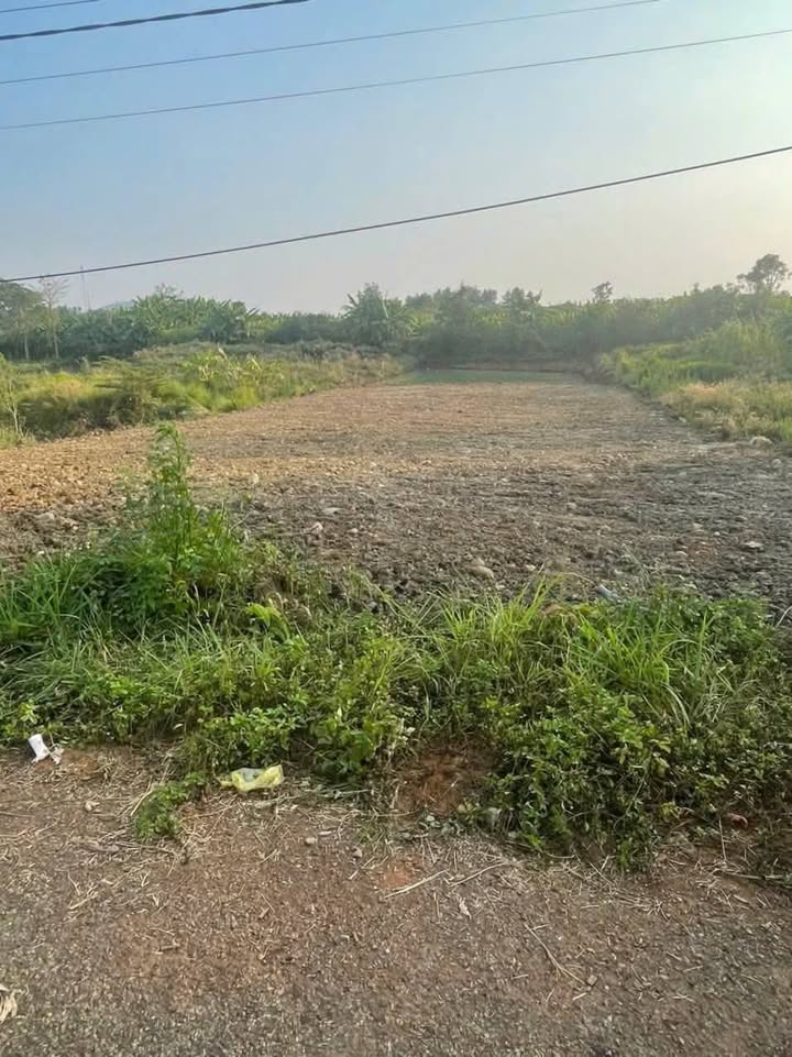 Đất mặt tiền thôn Phước An, 1500m² giá 2.25 tỷ - Đầu tư sinh lời ngay!