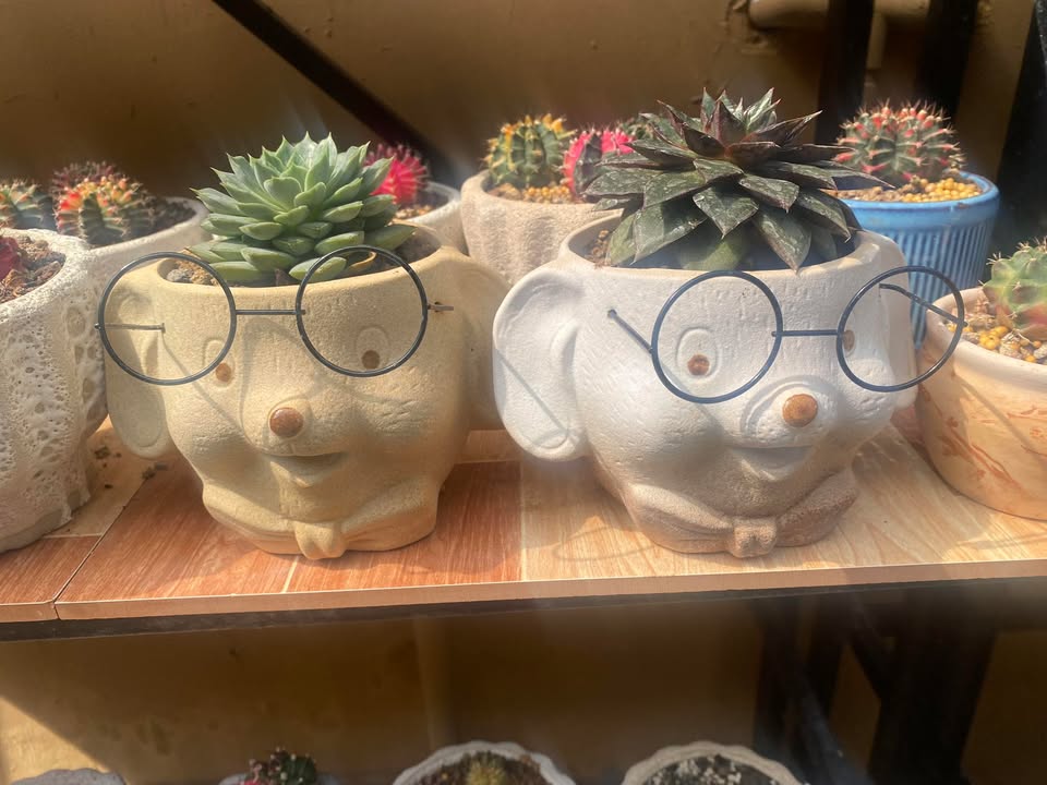 Nhà cấp 4 KDC Hoàng Phát, Bạc Liêu 100m² giá 1.35 tỷ - Chính chủ bán gấp!